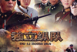 电视剧独立纵队,烽火岁月里的英雄传奇